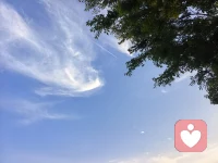 人的心情就像云一样飘来飘去，捉摸不定

心藏山水，自带清风；静而不争，便是从容。

远离无意义的内耗，放下没必要的争执，

不纠缠烂人烂事，不纠结过往得失。配图