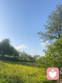 用5年时间，学会了放手，5年前总以为为了他可以放弃一切，可事实也是如此，可后来除了失望还是失望，慢慢在失望中选择放手，放弃很难，但坚持下来却是件很酷的事