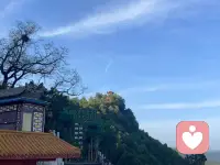 学会自愈

分开从来都不是一瞬间的事，是无数次失望、犹豫、沉默，慢慢耗尽了所有热情。

曾经满心欢喜，以为遇见就是一辈子，掏心掏肺去付出，小心翼翼去珍惜，把所有温柔和期待，都寄托在另一个人身上。后来才懂，不是所有真心都有回应，不是所有陪伴都能长久。

难过是难免的。
会深夜失眠，会莫名想哭，看到熟悉的风景、听到熟悉的歌，就忍不住想起过往。会反复回忆，反复纠结，遗憾为什么好好的两个人，走着走着就散了。

不用逼自己立刻坚强，也不用责怪自己放不下。
认真爱过，真心付出过，难过、委屈、不舍，都是理所当然。允许自己崩溃，允许自己低落，情绪不用隐藏，眼泪不必强忍。自愈从来都不是强行忘记，而是慢慢接纳。

慢慢你会明白，有些人只是路过你的青春，不是归宿。
他教会你心动，教会你温柔，也教会你离别与遗憾。不合适的缘分，早点结束，其实是解脱。纠缠没有意义，挽留只会卑微，错过错的人，才会遇见对的人。

不必自我否定，你很好，值得被认真偏爱。
你失去的，只是一个不爱你的人；而他失去的，是满心满眼都是他的人。遗憾从来都不属于你。

日子一天天往前走，难过会变淡，回忆会释怀。
不再期待消息，不再胡思乱想，不再患得患失。把还给别人的温柔，好好留给自己；把耗尽的情绪，慢慢修补回来。

好好吃饭，好好睡觉，好好生活。
独处不是孤独，自愈是成长。

终有一天，再提起过往，心里平静无波澜。
感谢相遇，释怀别离。
你终会走出阴霾，向阳而生，温柔自愈，独自灿烂。