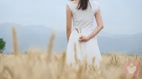 赴一场心事