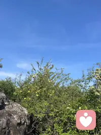 谁能懂这种心痛💔
陷在失恋的漩涡里走不出来，回忆反复拉扯，心里空落落的，放不下也忘不掉，只能任由情绪一遍遍困住自己。