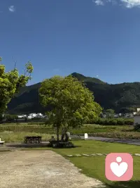 你好奇怪配图