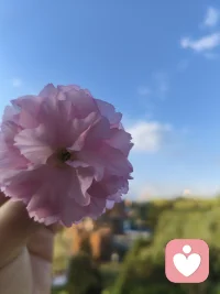 好像没啥心情，也没不好，也没多好配图