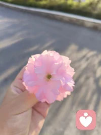 让我在这个平台赚点点钱吧！阿门😀配图
