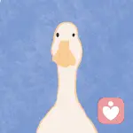 vv的头像