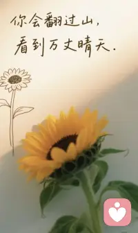 懂你所想，懂你所需，懂你的欲言又止，懂你的言外之意，懂你的一举一动。世界万物皆可有，唯有懂字最难求，我不喜欢孤独，只是知己难求。当你遇见那个懂你的人，一定要懂得珍惜。配图