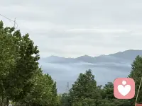 成年人的世界各有各的难言之隐，各有各的身不由己，那些不能诉说的心事，无人共鸣的情绪，有人放在了酒里，有人放在了音乐里，有人放在了深夜里。配图
