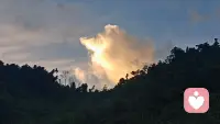 心若在断了联系又何妨，心若不在寸步不离又怎样，抓不住的东西，连伸手都多余，能被人抢走的东西，其实从来都不属于你，人与人相识于缘起，结束于缘灭，缘起拦也拦不住，缘灭拉也拉不回，学会放下，一切随缘。