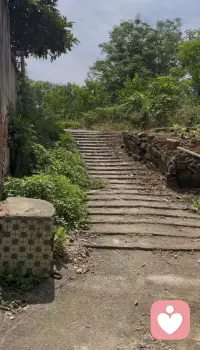 半生走过，婚姻里的委屈孤独，无人诉说最心酸，我静静倾听，安抚满心疲惫。配图