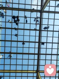 人生好比一盘棋配图
