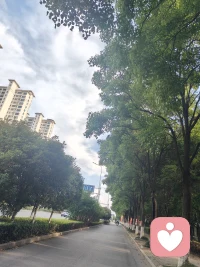 早安，新的一天开始配图