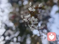 现实中我们都是围城困住的小鸟，无人可说，这里是你的避风港湾，让你的心灵得到释放