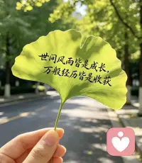 “遇良人先成家，遇贵人先立业，无贵人而先自立，无良人先修身” 生命中所有的问题不可能有标准答案，边走边问向自己，什么是对自己最重要的，当下最想要的是什么。配图