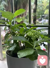 心里有伞，才能经受住感情世界里的风雨考验，允许有痛苦的后延性，那是对真心的一场祭奠仪式。配图