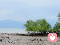 人最大的痛苦，往往不是来自事件本身，而是来自事件发生后，还要独自承受那份孤独感。