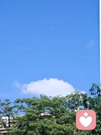 倾听，不是为了回答，而是为了连接。
在这个喧嚣的世界里，高质量的陪伴往往始于沉默的聆听。
守护内心秩序，愿你听得懂别人，也听得见自己。
一个合格的倾听师，首先是生活的观察者。配图