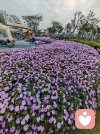 周末的意义，在于整理心情，清空烦恼，然后重新出发。配图
