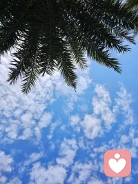 生活原本的样子，其实就是这些细碎的、慢慢流淌的时光。它们不需要加速，只需要被认真对待。当你不再急着去往下一个地方，才发现——此刻，已经是最好的地方配图