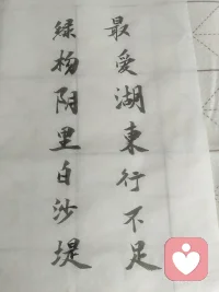 “最爱湖东行不足，绿杨阴里白沙堤”配图