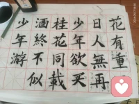 “花有重开日，人无再少年，”，“欲买桂花同载酒，终不似少年游”配图