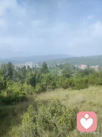 清晨的光，照亮你我，起早捡菌了。