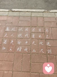 墙外月季，开了又落  
他还是离开我了。
说好的未来变成了一个人的等待。相信彼此真诚相待就不会走丢。竭尽全力也只在他心里栖息了一阵。因为舍不得困在原地。
明明无风又是什么吹进眼睛又刺进胸膛？配图