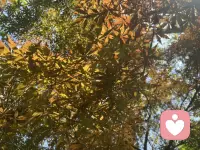 世界很吵，我安安静静，听你所有心事。配图