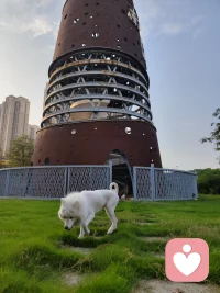 今天又是美好的一天
心情的苦闷也被打散了