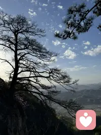 很多时候我们并不是想要有一个什么样的结果，其实我们都是想要一个人能够理解我们，能懂我们需要什么！