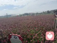 渐渐的你会发现干净的语言，变小的圈子，自律的生活，独处的时光才是一种舒心。配图
