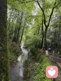 新人，多多指教配图