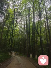 新人，多多指教配图