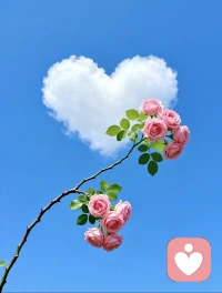 心里积攒的情绪别硬憋，别让无声内耗，偷走你所有快乐。