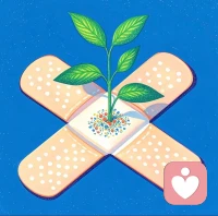 别把伤疤养成宠物
反复舔舐回忆的人，
像抱着仙人掌说“我不疼”。
🩹让我帮你轻轻放下。