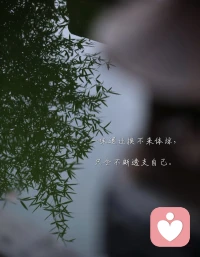 很多人在原生家庭中受过伤：被忽视、被否定，甚至被情绪勒索。
可长大后，别人总会劝你：“过去都过去了”“要学会原谅他们”“父母也不容易”。
 
于是你陷入一种两难：
● 不原谅，觉得自己“太冷血”；
● 原谅了，却仍然痛苦、委屈、压抑。
真正的和解，不是强迫自己原谅父母，而是允许自己放下执念，转身照顾自己。