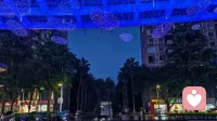 当你感到孤独，其实是身体在保护你