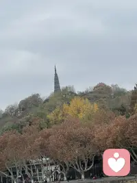人生苦乐参半，得失随缘，关键在于心态‌。活着是一种心情，穷富得失皆如浮云，抛开执念方能得意；不必事事如意，坦然面对现实，享受当下，无愧于心即可。