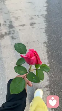 在平台短暂的停留，感恩遇见💕💕💕