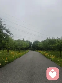 心宽路自阔，心若计较，处处皆烦恼；心宽一寸，路宽一丈