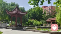 昨天又应邀去学校为高考生做考前减压，情绪疏导了，学校环境非常美，咨询过程中发现，只有提升认知，成长自己，增长心力，才能在学习，工作，生活中，稳稳的接住，你遇见的人事物！这和外在的环境没有太大的关系