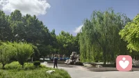 昨天又应邀去学校为高考生做考前减压，情绪疏导了，学校环境非常美，咨询过程中发现，只有提升认知，成长自己，增长心力，才能在学习，工作，生活中，稳稳的接住，你遇见的人事物！这和外在的环境没有太大的关系