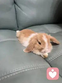 做事的最高境界四句话整理：
1. 苍蝇议论对错，英雄一路前行，带着破绽去行动，而非抱着完美去批判；
2. 不必惧怕结果，投入当下即是圆满；
3. 不必苦等意义，做事本身即意义；
4. 在常不如意的世界里，仍不断焕发热情，并实现重要的梦想，是真正的生命哲学；配图