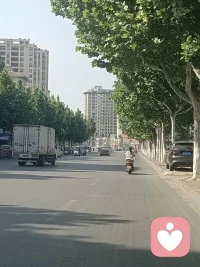 心事无处安放，情绪无人懂，愿做你的专属树洞，安静倾听所有委屈与秘密，不评判、不泄露、一直都在。