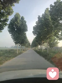 不浪费彼此时间，关注情绪价值，情感体验，人际关系，个人成长等，想要进步的人来。