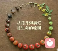 花开花落 生生死死 生死之间是什么呢 可以是几十年 可以是什么都没有 只不过体验一场的人生 好好玩儿就好了哦配图
