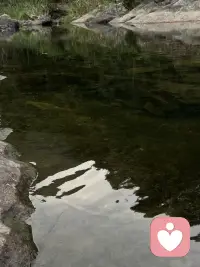 每个人都会有累的时候 累了就歇歇  歇好了再出发就好  不用一定要坚强 一定要强大 你可以在自己的世界里抱抱那个累了的自己 告诉ta 没关系 累了就歇一歇 有我在哦 不用担心未来  未来会以美好的样子与你相拥的哦