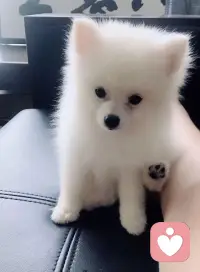 观察自己的起心动念 念起不随 发现自己觉得不好的事情 感受到不舒服 首先需要抒发 复述事情经过来缓解痛苦感 其次 转念 将原本的不好的感受转为这件事给自己带来了什么好的一面 让自己转念 去寻找这件事给自己带来的好处的点上 痛苦将会慢慢消逝  我们活在这个世上 更多的只是了缘 而非沉浸执念  缘去则散 各自安好即可  我们要感恩在你低谷陪你复述你痛苦之人 无论你是有尝还是无偿接受 因为对方承接的同时是有爱的付出 不然无法承接到你 万事感恩 💗💗💗