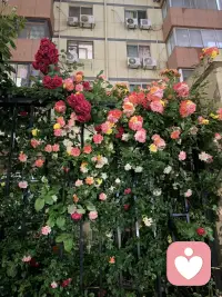 性格温柔耐心，善于倾听共情
擅长疏导焦虑失眠、情绪低落、压力内耗
感情困惑、迷茫心事、日常烦恼都可以慢慢说
全程温柔陪伴，绝对保密，耐心听你所有心里话