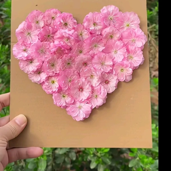主业筋疗 益生堂  副业 倾听师