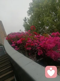 慢慢的就会感觉到真话会让别越来越难，善意的谎言陪伴着你我她配图